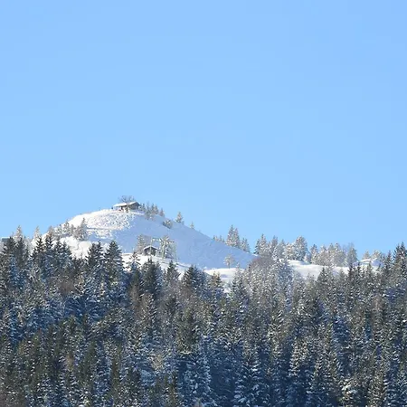 公寓 Ferienwohnung Kranzbergblick