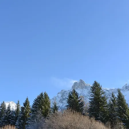 Ferienwohnung Kranzbergblick * 米滕瓦尔德